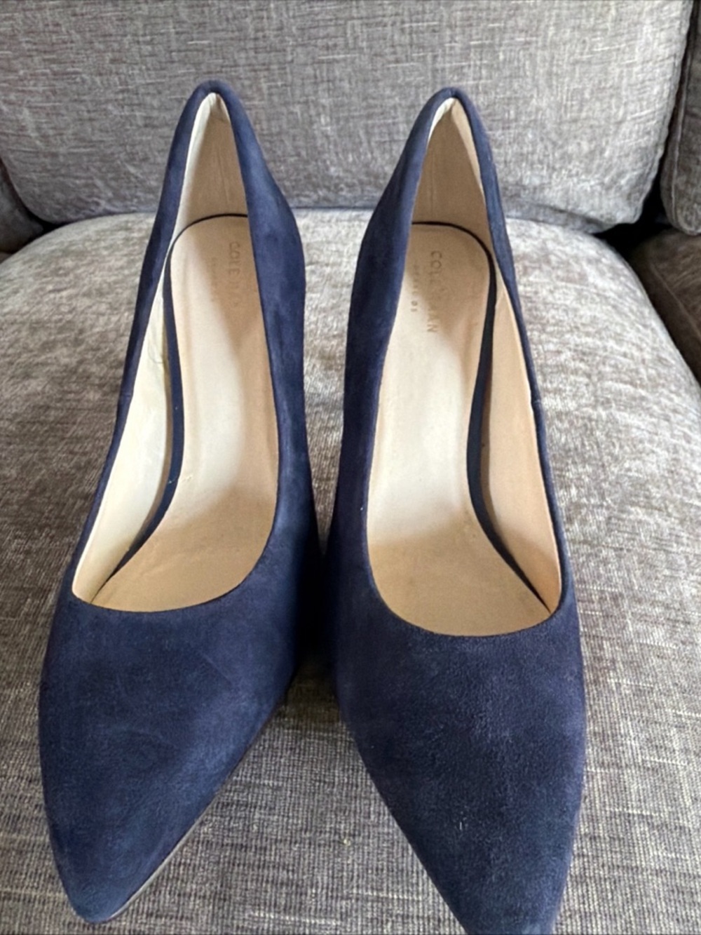 Cole Haan Navy Suede Pointed Pumps